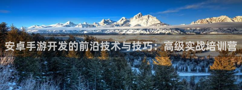 蓝图娱乐app最新版：安卓手游开发的前沿技术与技巧：高级实战