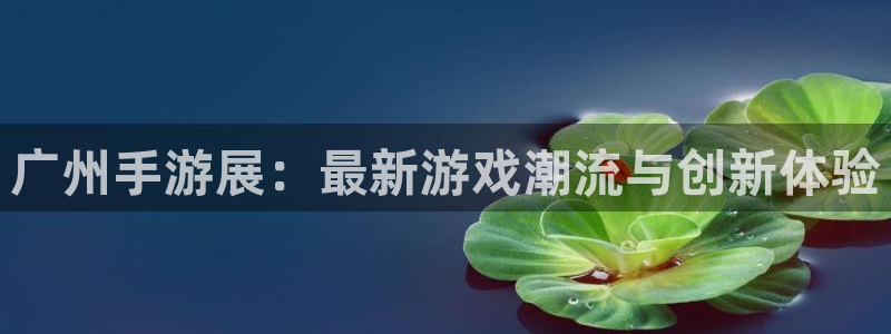 28大神软件不能用了：广州手游展：最新游戏潮流与创新体验