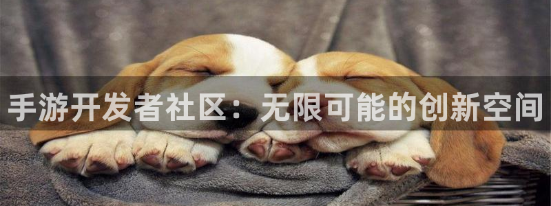 28加拿大大神下载