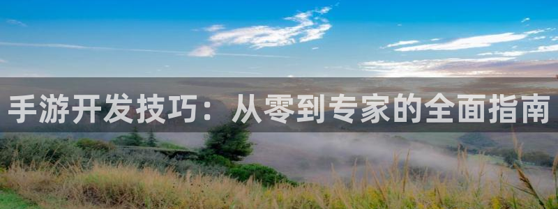 蓝图娱乐统计网：手游开发技巧：从零到专家的全面指南