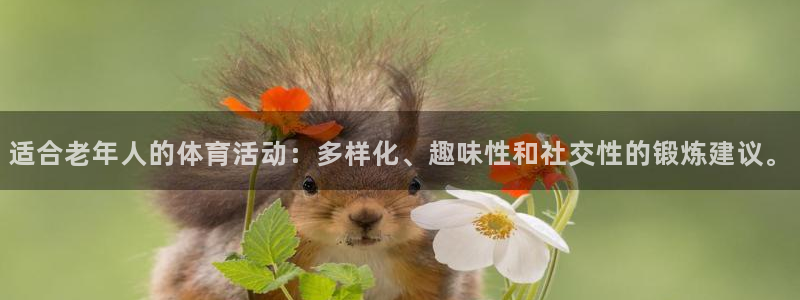 皇冠678体育