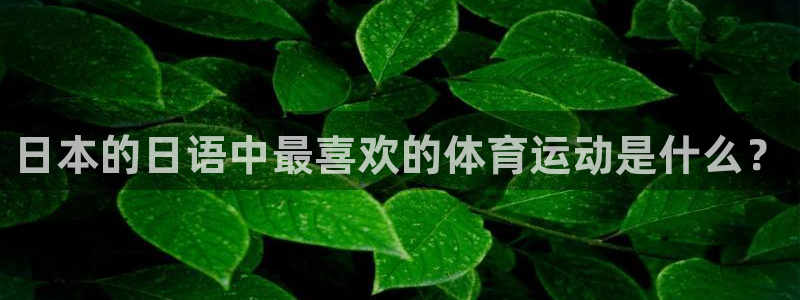 678体育官网下载：日本的日语中最喜欢的体育运动是什么？