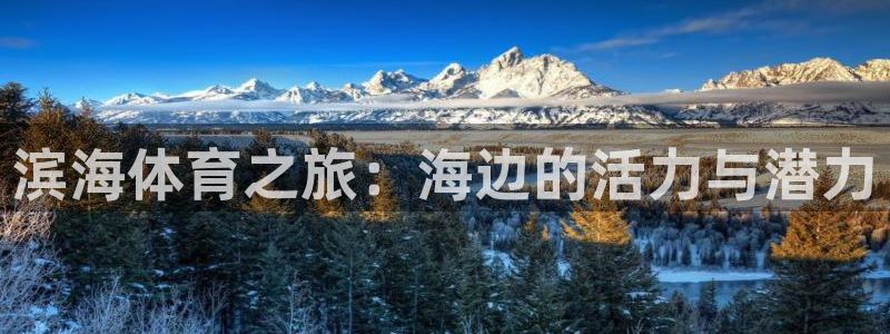 678体育官网下载：滨海体育之旅：海边的活力与潜力