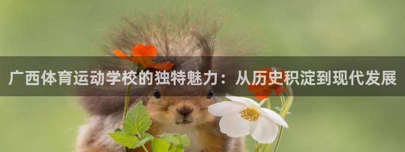 678体育官网下载：广西体育运动学校的独特魅力：从历史积淀到现代发展