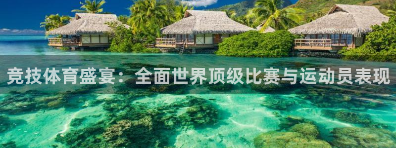 678体育官网下载：竞技体育盛宴：全面世界顶级比赛与运动员表现