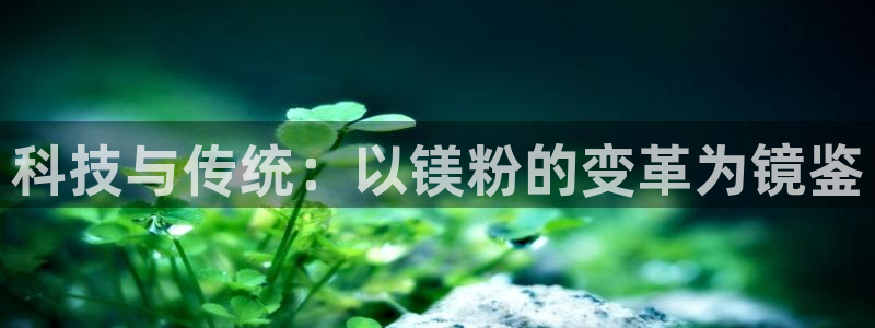 678体育：科技与传统：以镁粉的变革为镜鉴