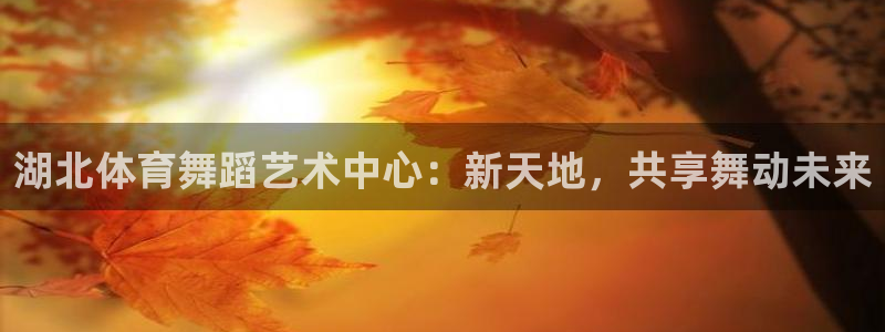 678体育官网下载：湖北体育舞蹈艺术中心：新天地，共享舞动未来