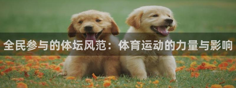 678体育官网下载：全民参与的体坛风范：体育运动的力量与影响